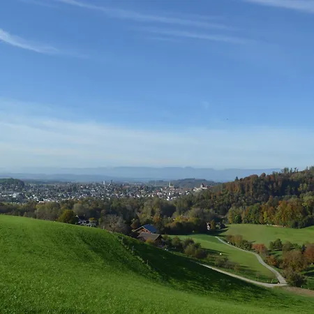 Oda ve Kahvaltı Bauernhof Baettwil