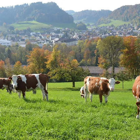 Oda ve Kahvaltı Bauernhof Baettwil