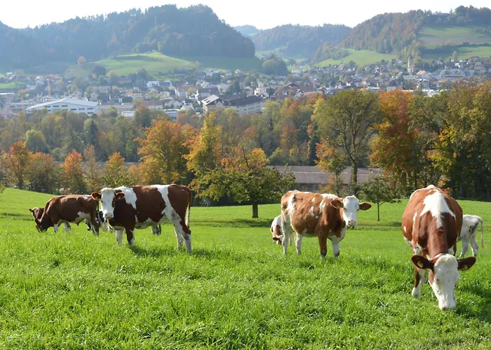 Nocleg ze śniadaniem Bauernhof Baettwil